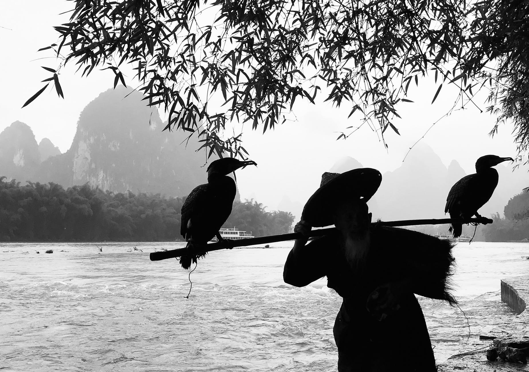 grayscale photography of person holding stick with two birds perching on it