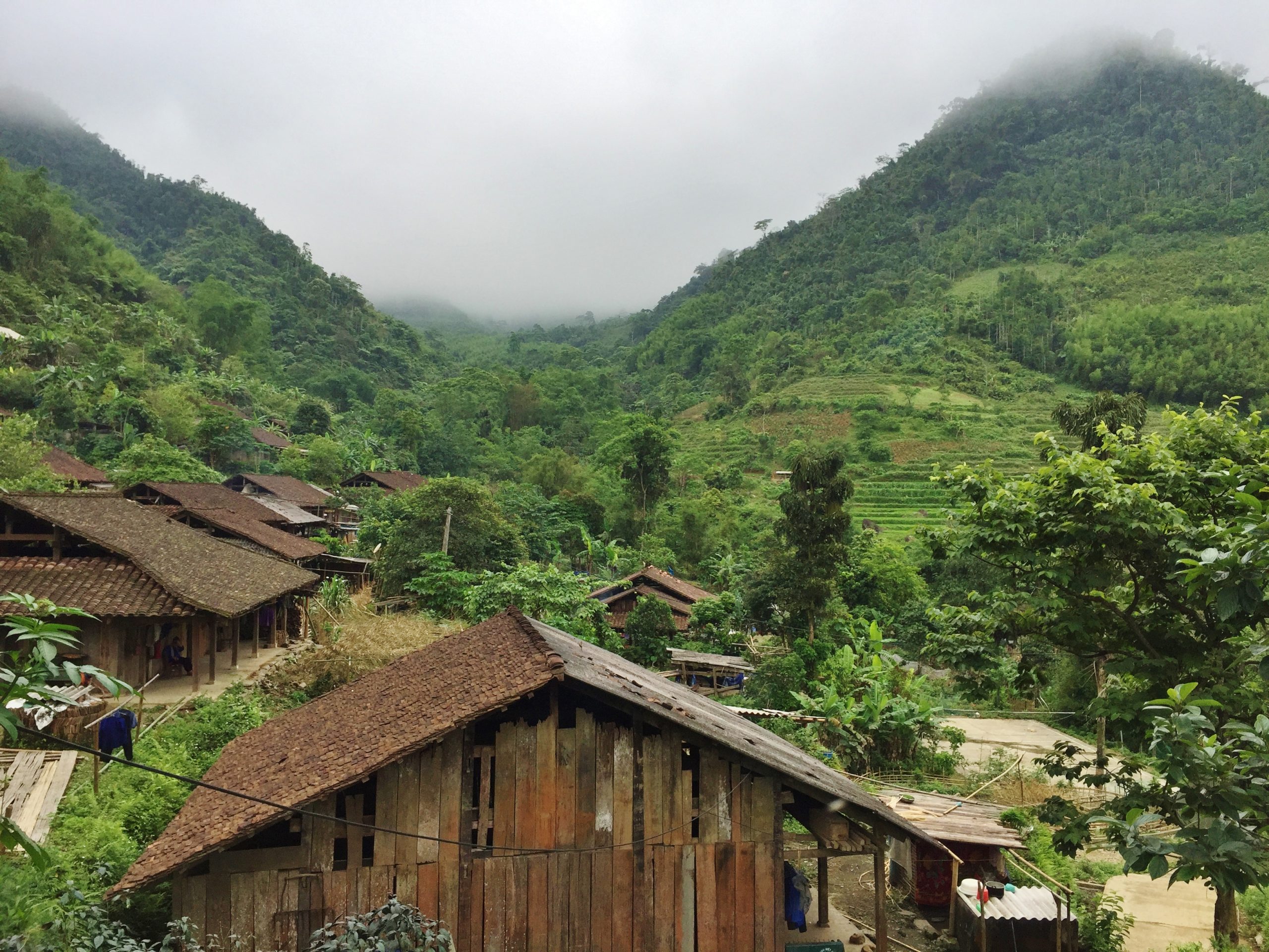 Scaling-up community-led EbA in biodiverse forest landscapes in Vietnam