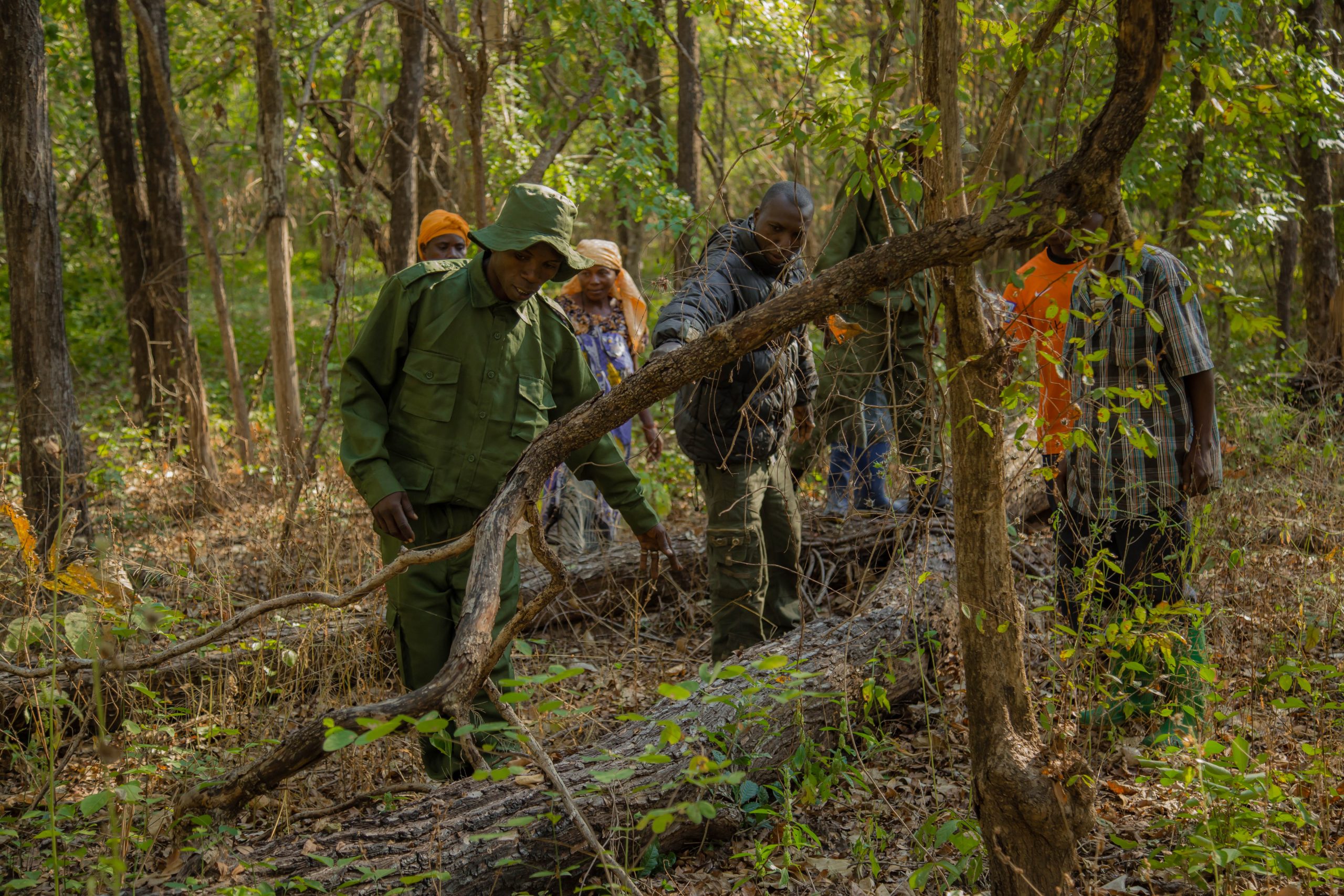 New Approaches to Upscale Resilience and Ecosystem-based Adaptation in Tanzania