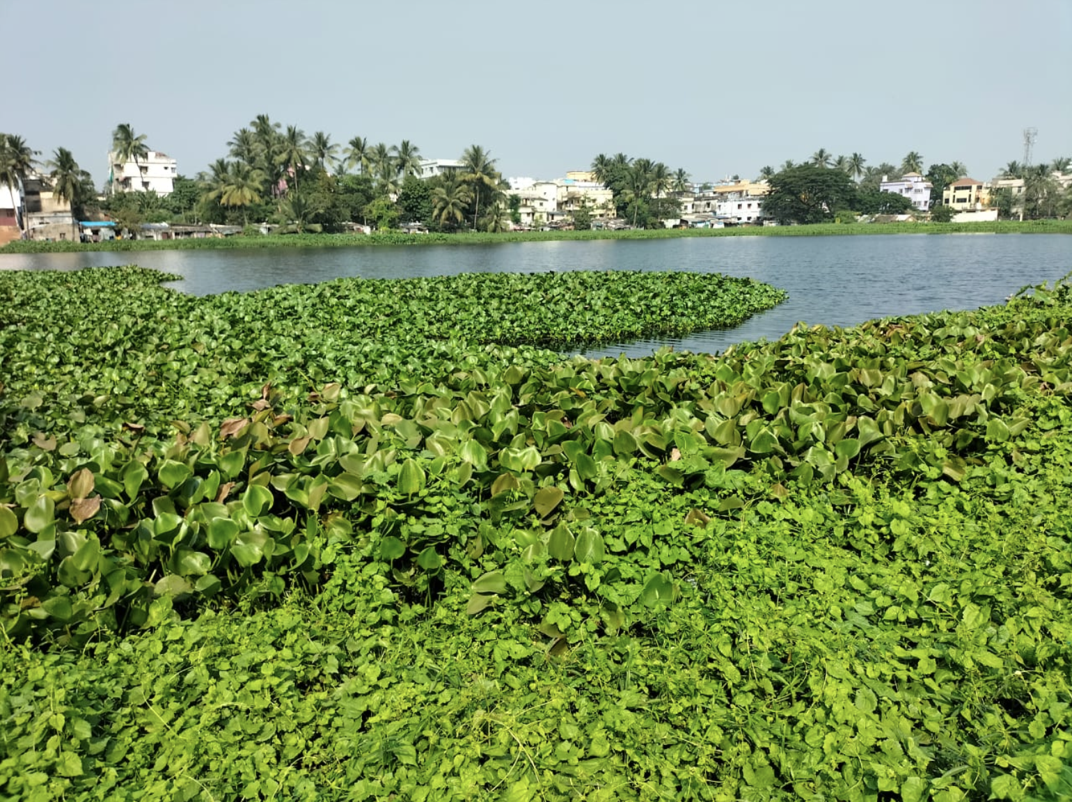 Proliferating EbA Practices in Indian Cities (EPIC)