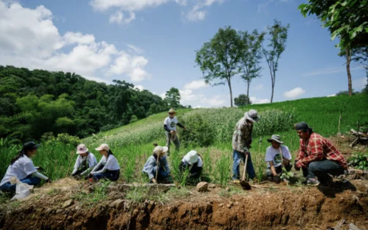 Enhancing adaptive capacity of smallholders in Thailand through the Trees4All initiative