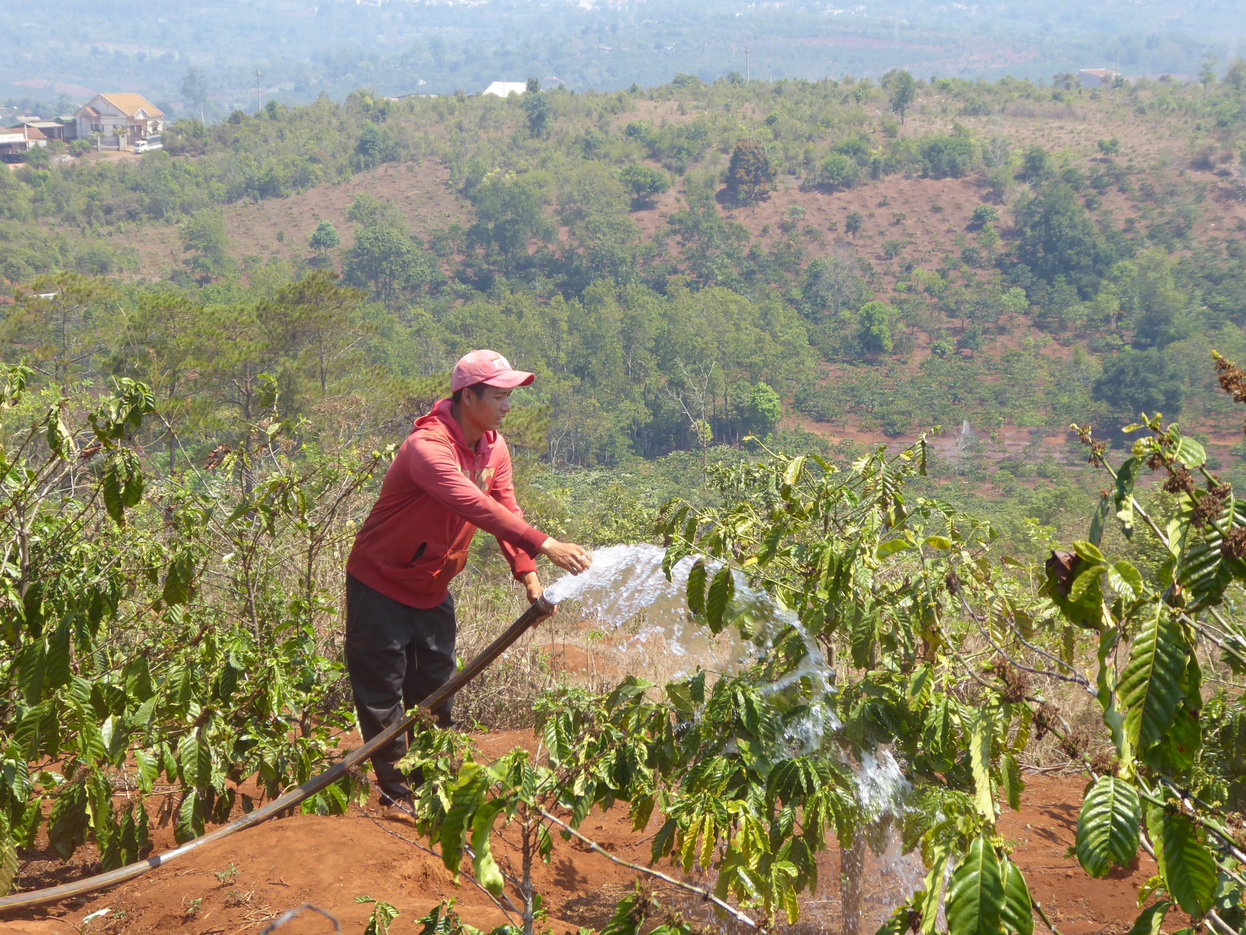 Enabling Smallholder Farmers to Better Manage Water-related Climate Risks in the Central Highlands of Vietnam with Novel Nature-based Solutions Implemented by IWMI