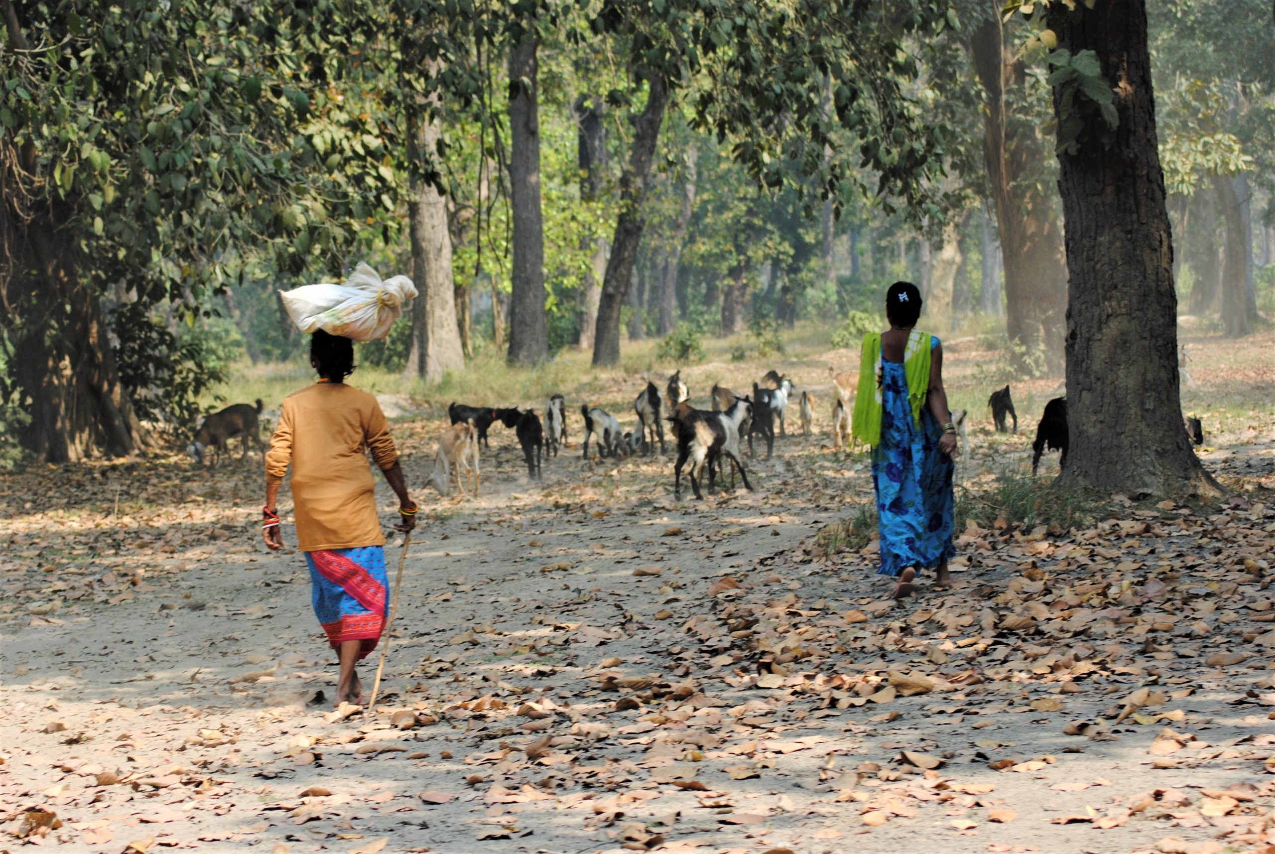 Mitigating Human-Wildlife Conflicts through EbA in Nepal