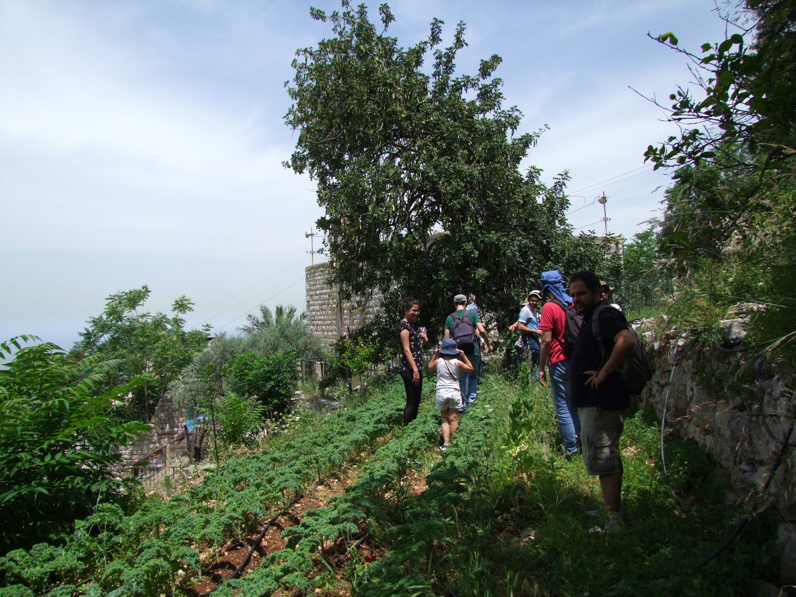 Ecosystem-Based Agriculture Resilience in the Levant through Agroforestry – Implemented by Friends of Nature