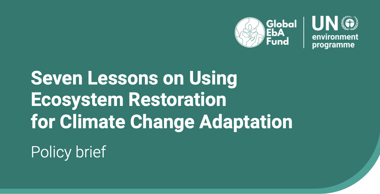 Seven Lessons on Using Ecosystem Restoration for Climate Change ...